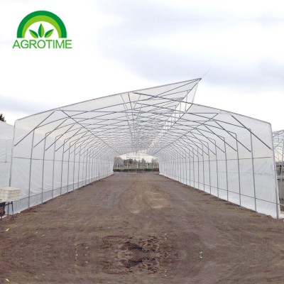 Vent Greenhouse CMB3810