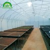 Vent Greenhouse CMB3810