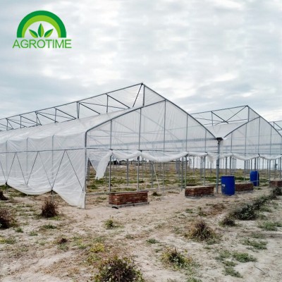 Butterfly Multi-span Greenhouse CMB4020