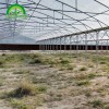 Butterfly Multi-span Greenhouse CMB4020
