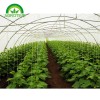 plastic film Greenhouse CMR3810