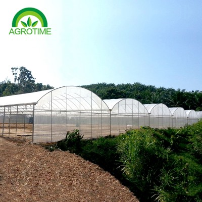 Hydroponic Greenhouse CMB1230