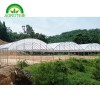 Hydroponic Greenhouse CMB1230