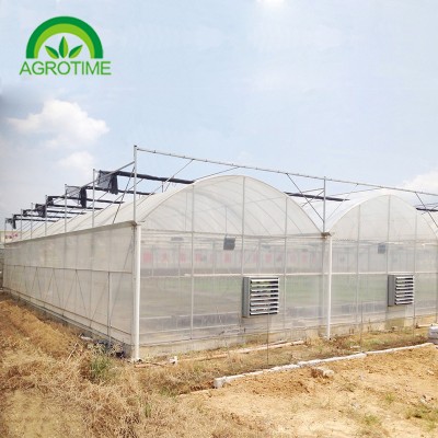 Multi tunnel Greenhouse CMR8060