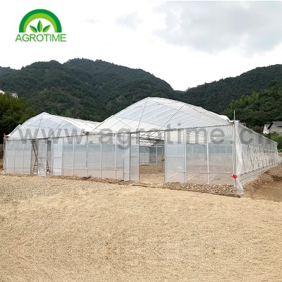 Hydroponic-Growing Greenhouse CMS8060
