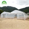 Hydroponic-Growing Greenhouse CMS8060