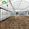 Hydroponic-Growing Greenhouse CMS8060
