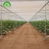 Net Greenhouse CMY1050