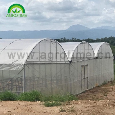 hoop poly tunnels Greenhouse CMY3830