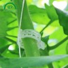 Tomato hook