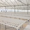 NFT Hydroponic Channel