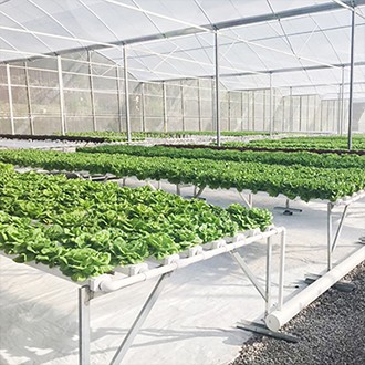 Hydroponic System