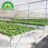 Mini Hydroponic System for Garden