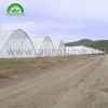 Multi-span Greenhouse CMY9343